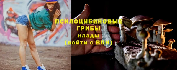 дживик Абинск