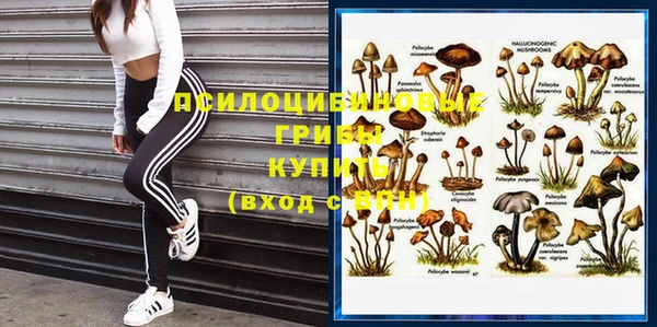 шишки Алзамай