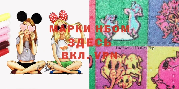 шишки Алзамай