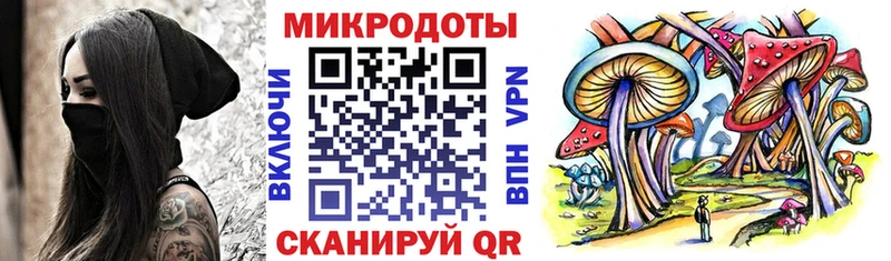 Галлюциногенные грибы Psilocybe где можно купить наркотик Орск